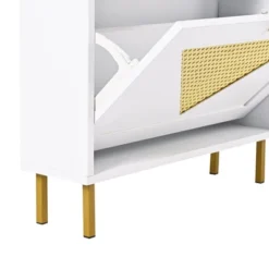 23.6" Rattan Modern Shoe Cabinet With 2 Flap Drawers - ModernLuxe -Famous Furniture Store GUEST 98993d10 371e 4b6c a9eb 704b43c1de5a