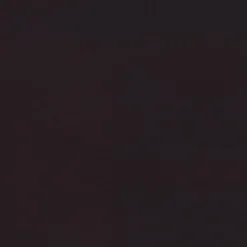 Halston 2 Drawer Office Desk Cappuccino - Coaster -Famous Furniture Store GUEST aa08f190 1def 4a5c b1cc 701d3eb16c40