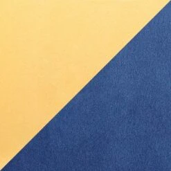 Set Of 2 Marcel Contemporary Dining Chair Gold/Blue Velvet - LumiSource 16 Set Of 2 Marcel Contemporary Dining Chair Gold/Blue Velvet - LumiSource -Famous Furniture Store GUEST bcbc2443 4113 45dd 9ae4 bbeba9c579f8